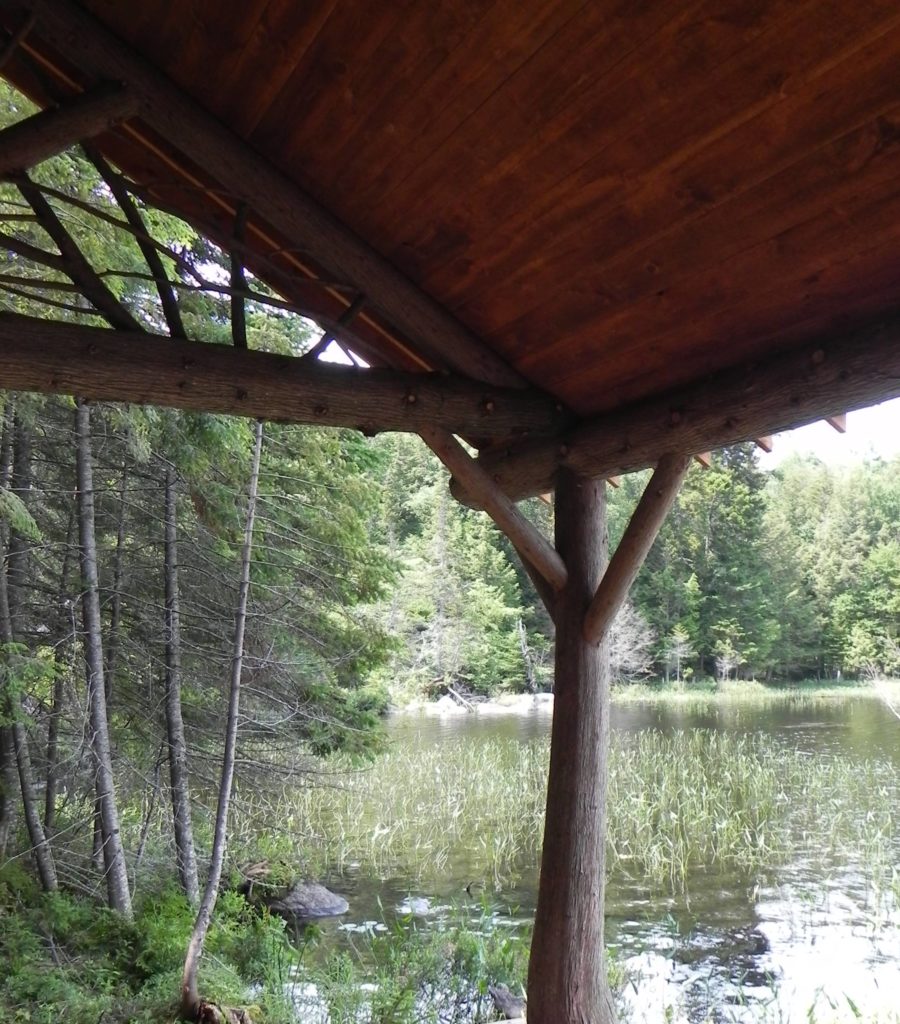 Minnow PondPart 2 AdirondackGuideboat